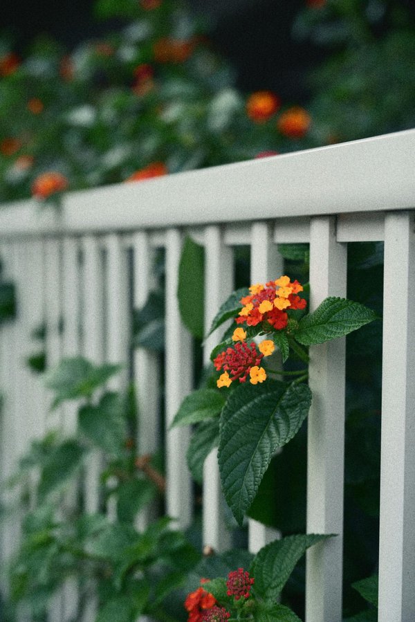 Le meilleur kit clôture prêt à poser pour votre espace extérieur